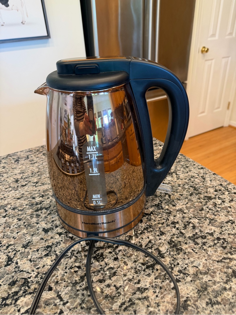 Hamilton Beach Rose Gold Electric Kettle